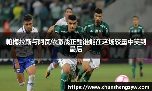 yy易游体育