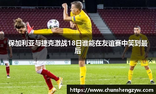 yy体育