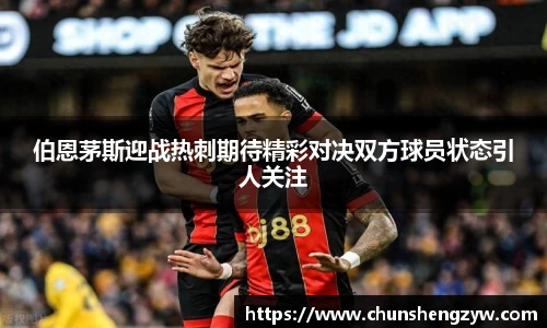 yy易游